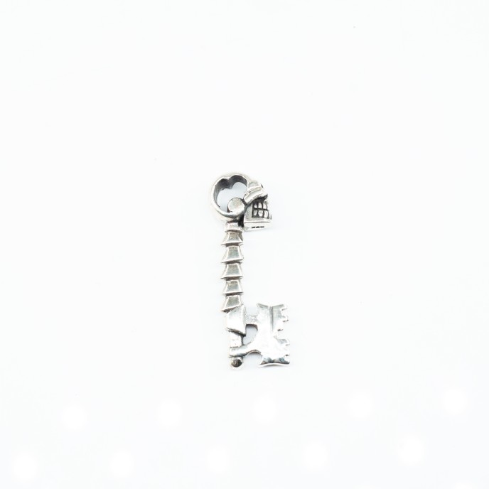 Pandantiv cheie filet craniu Argint