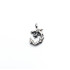 Pandantiv dragon s Argint