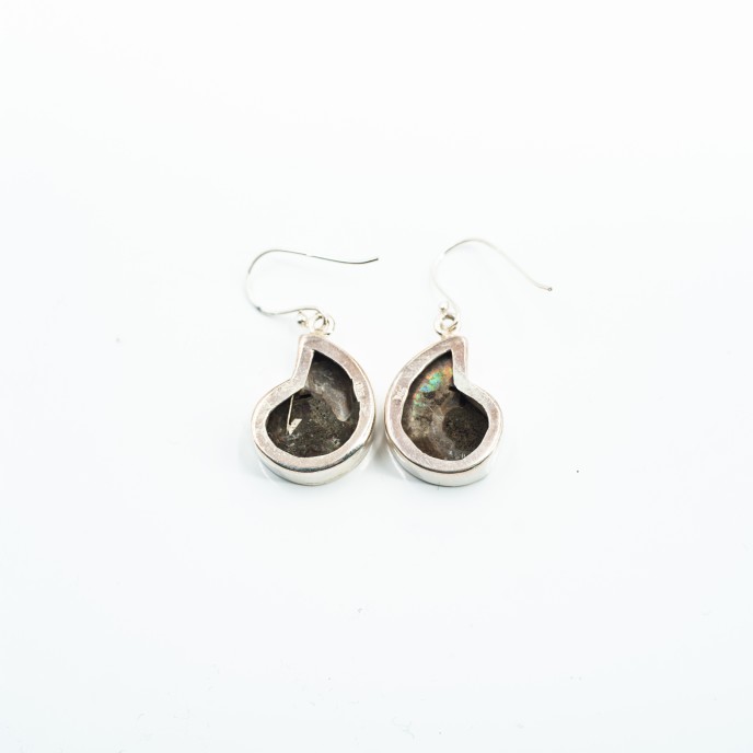 Cercei scoica amonite md9A Argint