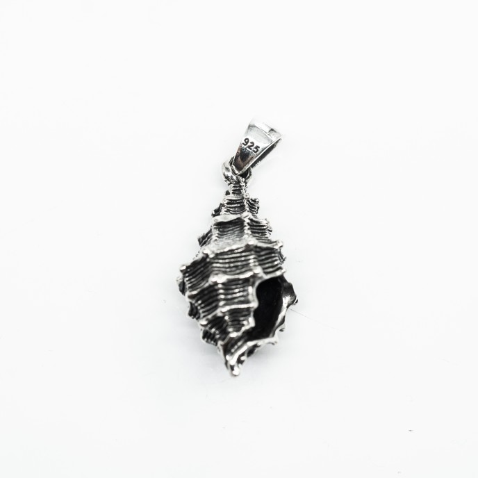 Pandantiv cochilie scoica xl Argint