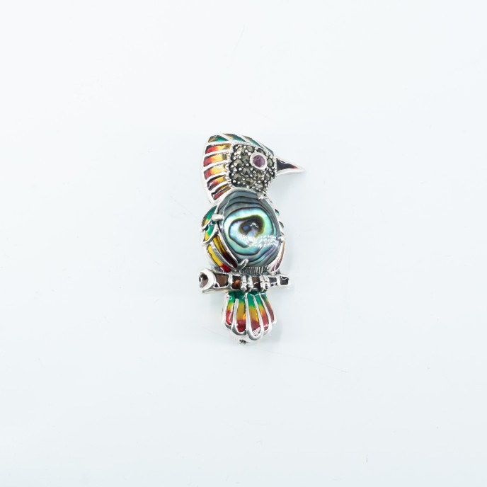 Brosa-pandantiv ciocanitoare Argint