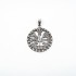 Pandantiv rotund Vegvisir m Argint