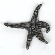 Pandantiv stea de mare xl Argint