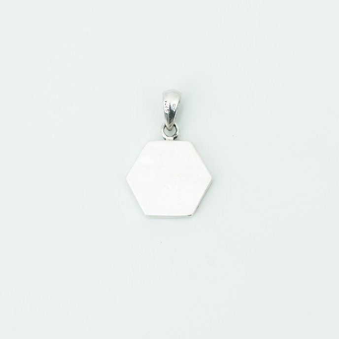 Pandantiv hexagonal palma si talpa Argint