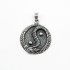 Pandantiv rotund dragon yin yang Argint