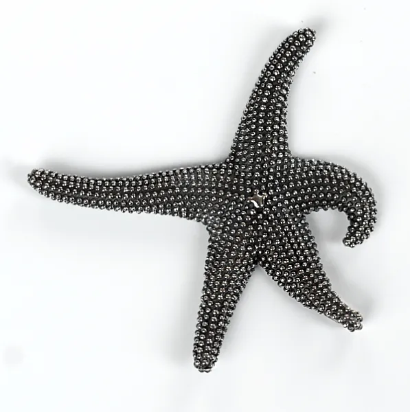 Pandantiv stea de mare xl Argint