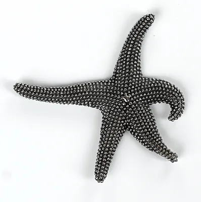 Pandantiv stea de mare xl Argint - 1