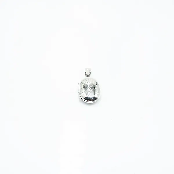 Pandantiv caseta poze ovala 16*22mm Argint